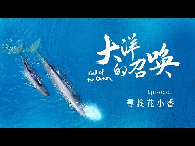 賀！《大洋的召喚》勇奪第57屆金鐘獎_首部曲 尋找花小香_4K SDR《聚焦全世界》第52期｜Call of the Ocean : Searching for Hua Xiao Xiang｜舒夢蘭
