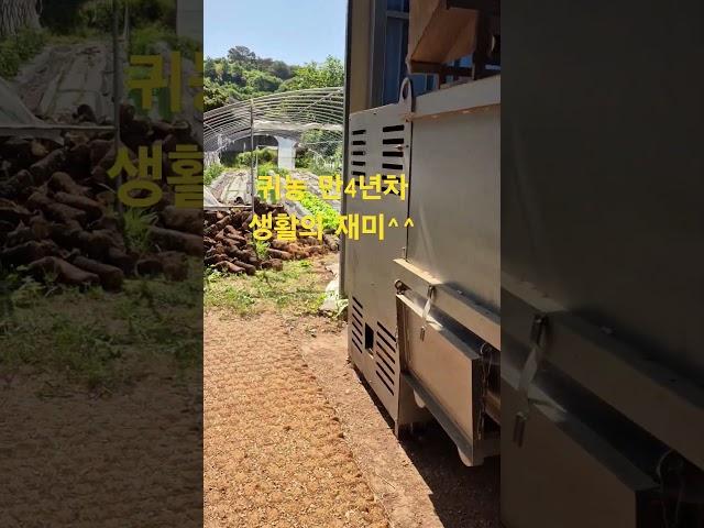 귀농4년차 생활의 재미는 주업인 작물 재배보다 텃밭 농사 재미가 더 있는것 같아요  이유는 건강한 먹거리를 나눠 먹는 즐거움~~~ #탑바위농원#귀농#나눔#행복#농촌체험