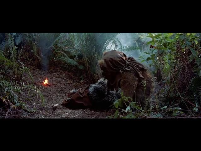 When an ewok dies.