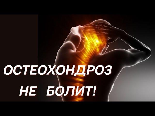 Остеохондроз НЕ болит. Доктор Лисенкова