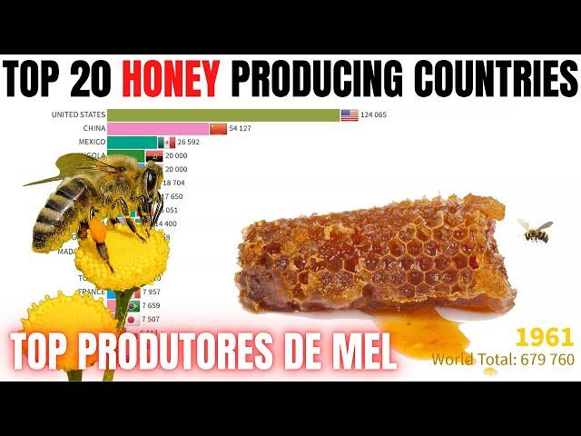 Top 20 honey producing countries