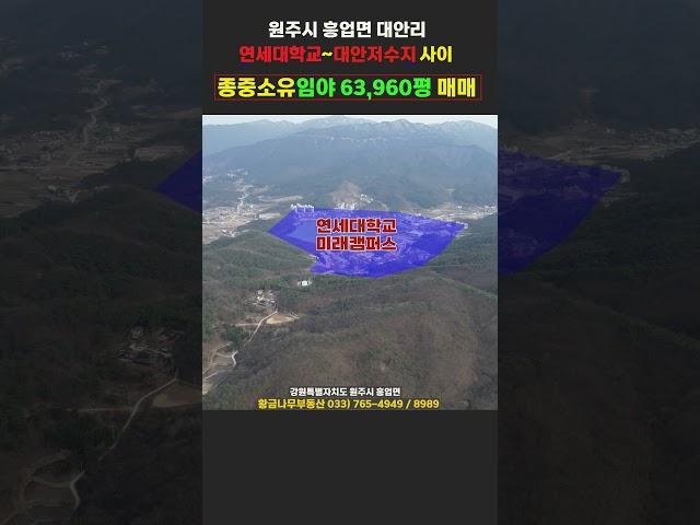 원주시 흥업면 대안리 연세대학교 미래캠퍼스 인근 종중임야 63,960평 매매 #원주부동산 #원주토지