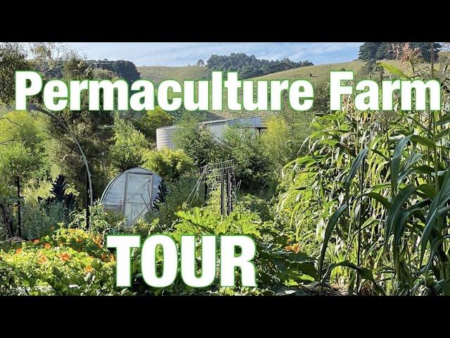 Huttons Valley Permaculture Tour