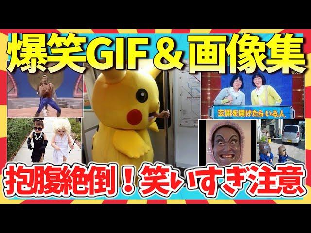 【爆笑】何回見ても飽きない！笑いすぎ注意の爆笑GIF＆画像集/ガルちゃん選抜/2ch/ゆっくり