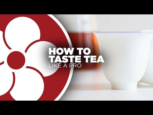 How to Taste Tea