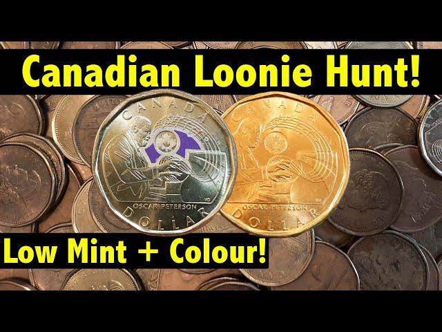 Coin Roll Hunting $1,000 in Canadian Loonies - Snagged some Low-Mintage and Colour!