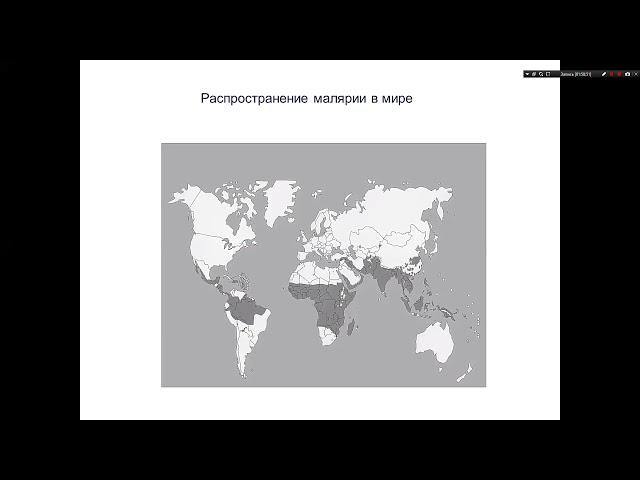 Малярия. Инфекционные болезни. Бронштейн А.М. 5 курс