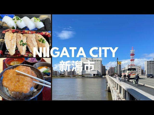 Niigata City Day Trip Japan Travel | Things to do, places to eat, ride Shinkansen