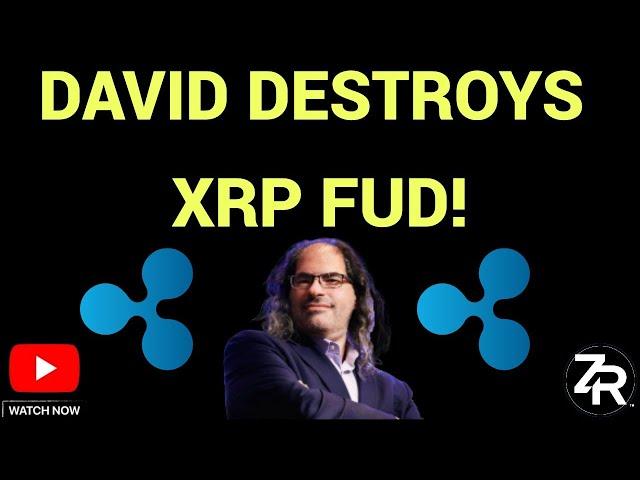 David DESTROYS XRP FUD!