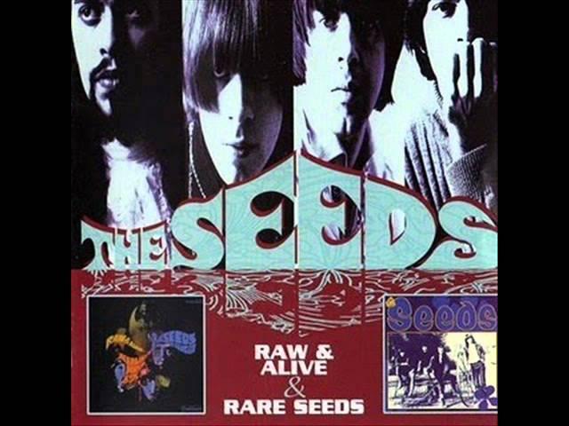 The Seeds - Can't Seem To Make You Mine (Live)