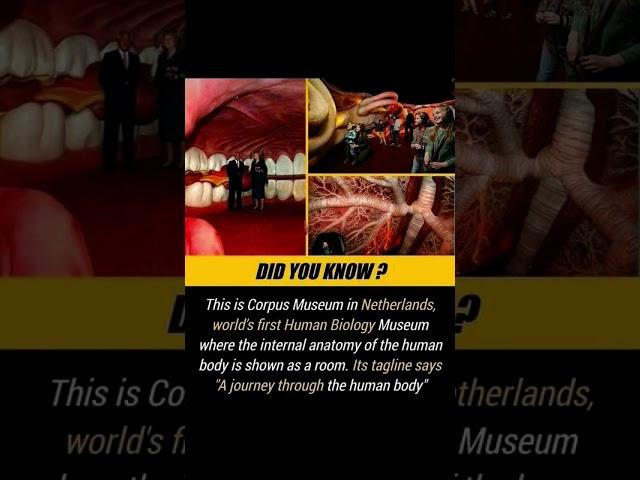 Human body as a tourist placedid you know ##trending ##didyouknow ##facts ##factstoknow