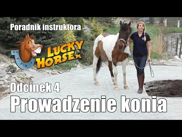 Porady LuckyHorse.pl - Odc4 - Prowadzenie konia