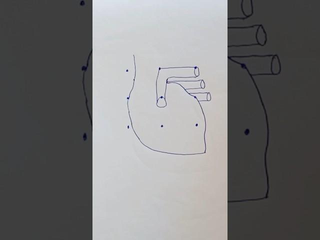 Human Heart Easy Diagram | Heart Diagram with 3×3 dots | How to draw human heart diagram #shorts