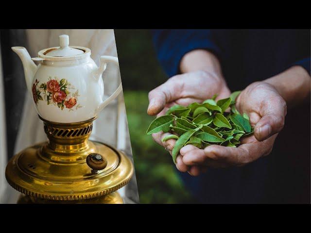 Persian Handmade Black Tea (The traditional way to prepare tea)