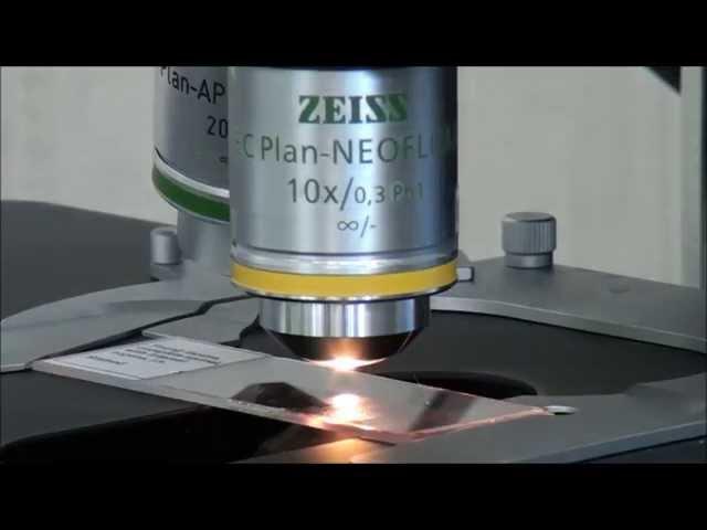 ZEISS Microscopy How-to: Align and Focus your HAL Light Source for Köhler Illumination