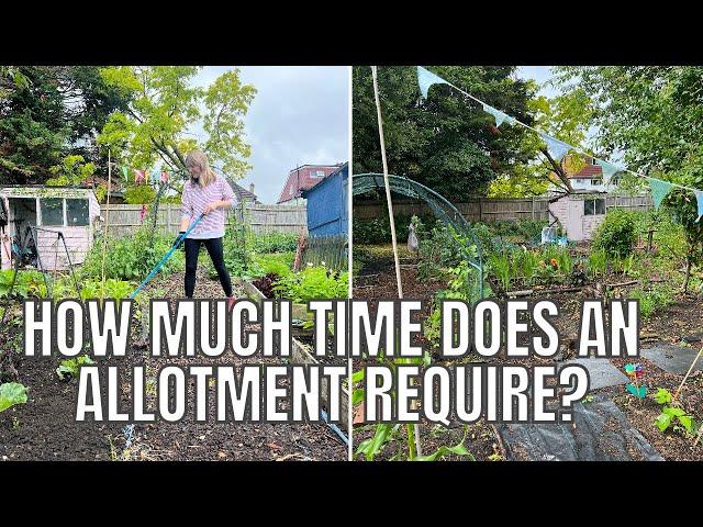 HOW MUCH TIME DO YOU NEED FOR AN ALLOTMENT PLOT? / ALLOTMENT GARDENING FOR VERY BEGINNERS