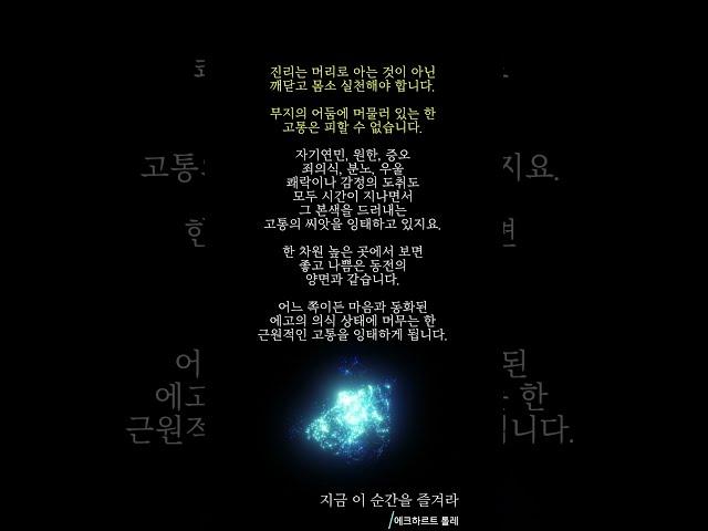 1분 명상 [18일차] 에크하르트 톨레