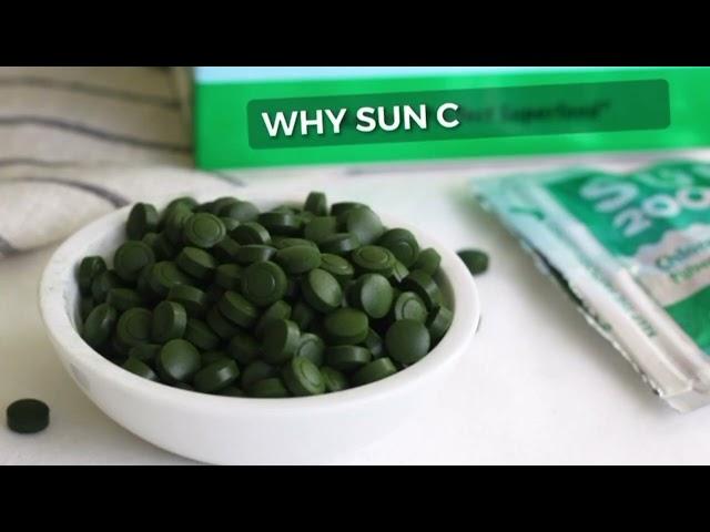 What is Sun Chlorella ‘A’?