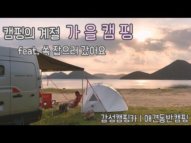 [ON THE VAN] EP.12 Van tour | secret beach by motorhome | crayfishing | camping with my dogs