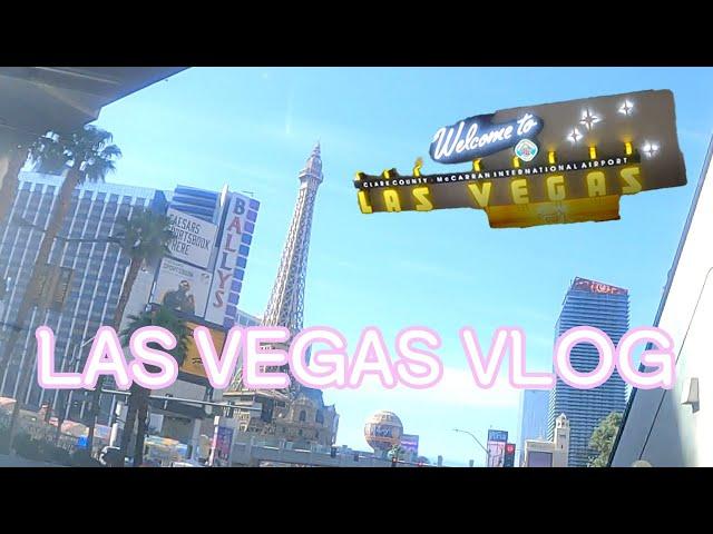 Las Vegas Vlog EP1| First day Korean food in Las Vegas, Airport, Hotel, Water Show, Popularity egg