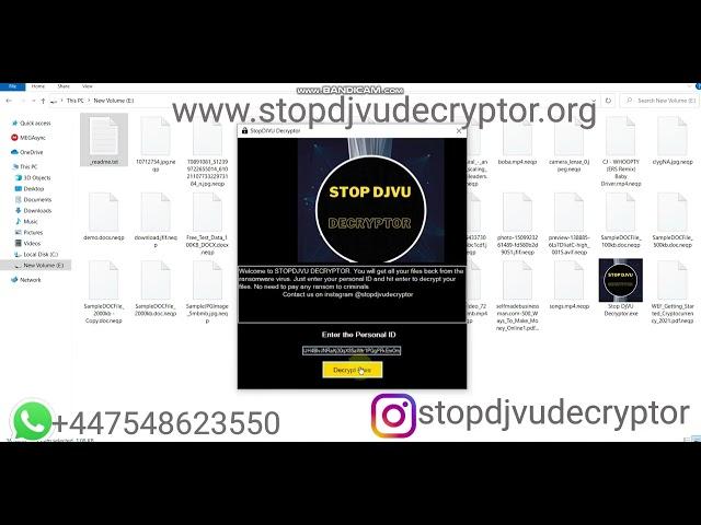 NEQP RANSOMWARE VIRUS DECRYPTION AND FILES RECOVERY | neqp  neon | nerz decryption tool 100% working