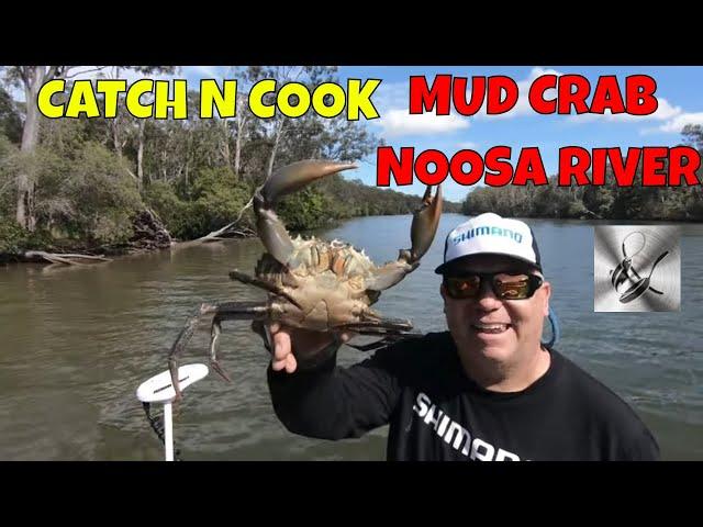 Mud Crab Catch n Cook | Fishing and Cooking| Paul Breheny