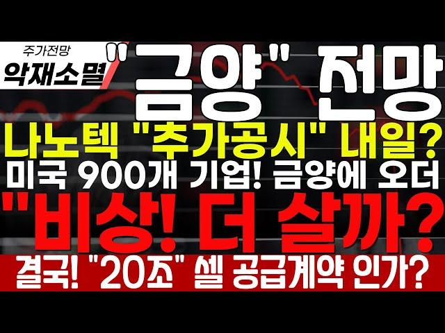 [금양] "비상" 더 살까? 나노텍 "추가공시" 내일? 미국 900개 기업 금양에 러브콜! 결국 미국,인도에 공장 추가건설! 글로벌 시장을 정조준! 더 살까? 팔까? 유증참여는?