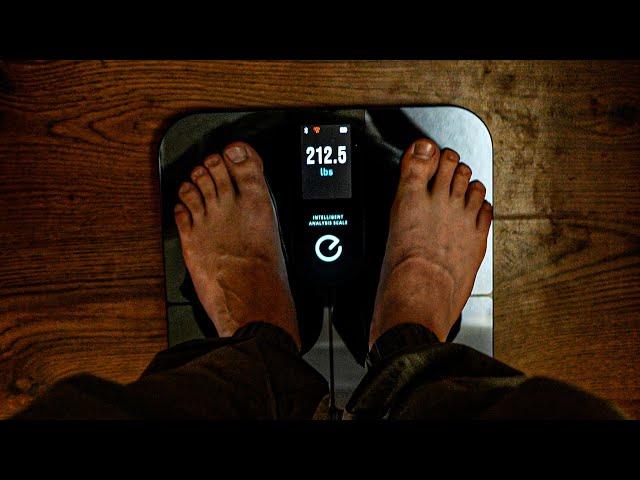 How to use the Eufy P3 Scale to track your body composition