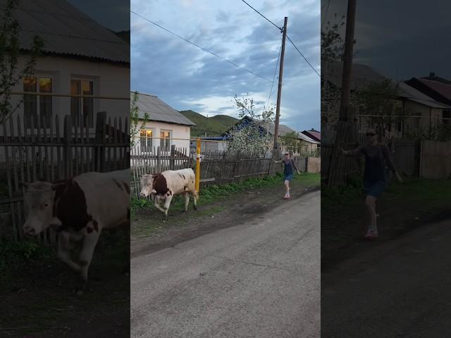 лето в деревне мой ТГ sa.shunka