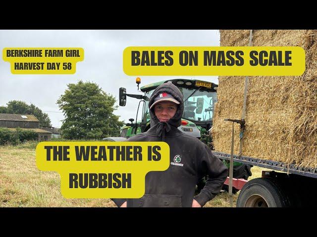 Bales on mass scale