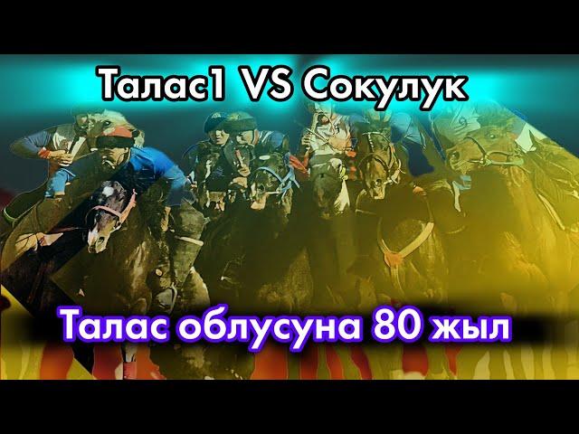 Талас & Сокулук / Талас облусунун 80 жылдыгына арналган көкбөрү мелдеши.