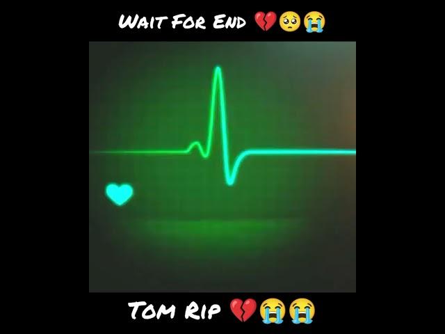 My Talking Tom Rip  Wait For End  Nooo #talkingtom #sad #rip