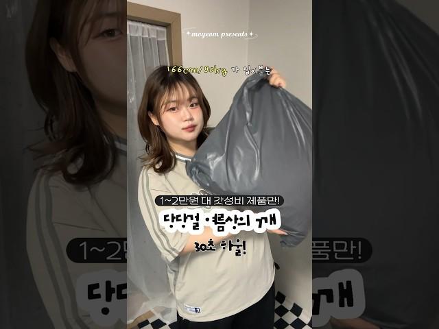 80kg가 말아주는 1~2만원대 당당걸 상의 7개 하울 1탄! | 빅사이즈 여름 옷 추천