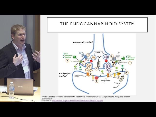 Dr. Danial Schecter, Family Physician, Co-Founder, Cannabinoid Medical Clinic: Medical Marijuana