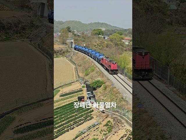고추장디젤 DL7565 장폐단 화물열차 #railway #디젤기관차 #화물열차