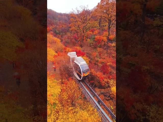 Autumn in South Korea