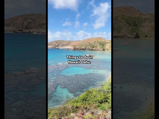 #hawaii #oahu #travel #snorkeling #shortsfeed #youtube #explore #adventure #usa #summer #hiking #fyp