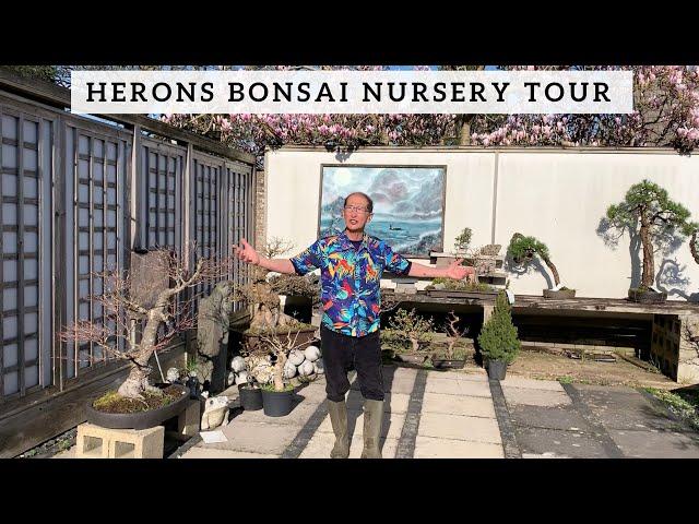 Herons Bonsai Nursery Tour