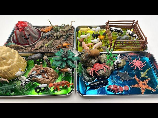 4 Mini World Diorama With Animals And Jelly - farm Safari Dinosaur ocean| Shark Tiger Cow T-Rex