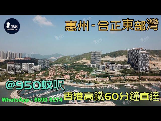 合正東部灣_惠州|首期3萬(減)|@950蚊呎|香港高鐵45分鐘直達|香港銀行按揭(實景航拍)