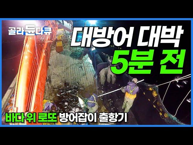 이 갑판은 5분 뒤 꽉 찹니다. 잘 잡으면 하루 4000만 원! 그야말로 바다 로또 방어잡이 출항기│대방어회 먹방│극한직업│#골라듄다큐