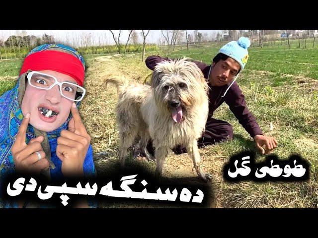 Da Singa Spe De || Pashto New Funny Video 2023 by Tuti Gull Vines