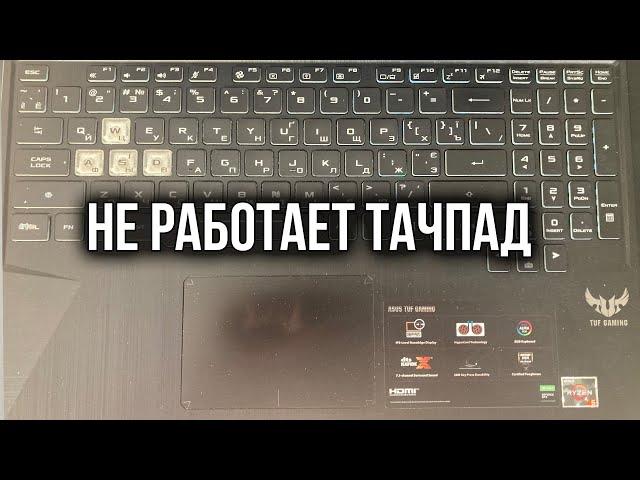 Не Работает Тачпад на Ноутбуке? Решение есть!