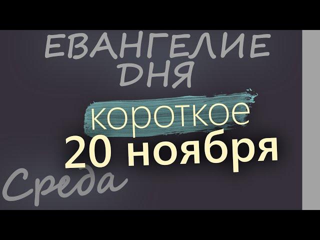 20 ноября, Среда. Евангелие дня 2024 короткое!