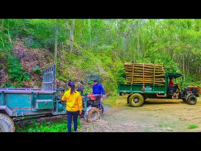 Sell Old Trucks and Buy New Trucks To Work More Efficiently, Transporting firewood - The Farm Girl