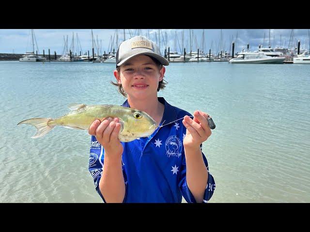 Fishing edit #edit #fishing #australia #toadfish #pufferfish #edits #funny #cool