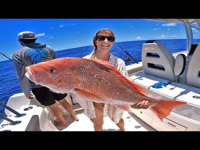 2 hours of EPIC Florida American Red Snapper Catch, Clean and Cooks