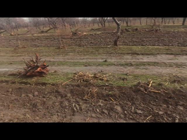 ЯНГИ БОГ ЯРАЯТПИИЗ АЛБАТА КОРИНГ ВА СИРЛАРИНИ СИЗЛАРХАМ ОРГАНИНГЛАР