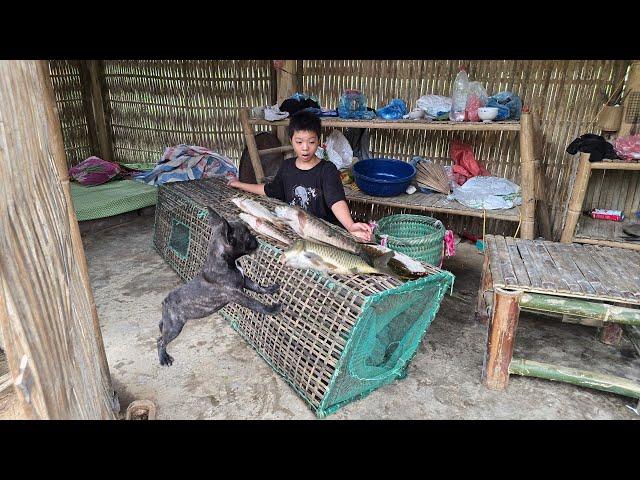 The Boy and the Dog, Catching big fish in the stream and selling them, Raising ducks and pigs