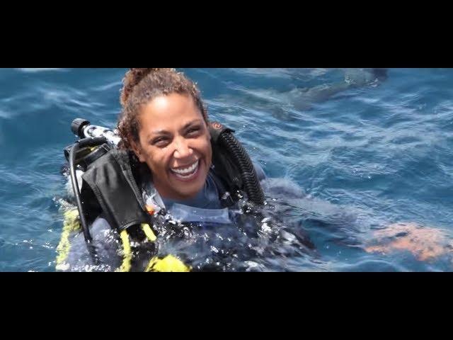 PADI Learn to Scuba Dive